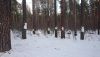 DSC_0288.thumb.JPG.abddce9e91d7ce48c3f50481665c8d1b.JPG
