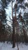 DSC_0289.thumb.JPG.acacf81ae58d25010468b97df8dc1780.JPG