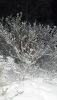 DSC_0311.thumb.JPG.a31d6388b3881804ba6f6592b22f5674.JPG