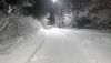 DSC_0313.thumb.JPG.1725a4bc24e5f545f893e5414f0b8f43.JPG