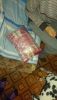 DSC_0317.thumb.JPG.74058cd6a1f6912f8e8a03ebfdd0f044.JPG