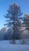 DSC_0319.thumb.JPG.c4c31ac1b5d764065ded69654aabe66b.JPG