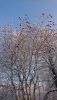 DSC_0322.thumb.JPG.98335588b34972c6a920c813e01273c9.JPG