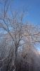DSC_0323.thumb.JPG.bf0d0870818adb04fb287dc1575939fe.JPG