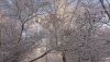 DSC_0324.thumb.JPG.4ed5c199fc6b900ebf816049d48ac8f8.JPG