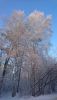 DSC_0326.thumb.JPG.626588341c01531511b2a1a4207fb199.JPG