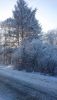 DSC_0328.thumb.JPG.12043af20dfaddf6bc1b00d5d498fb8e.JPG