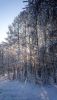 DSC_0331.thumb.JPG.6e9308216892f7c340493ba8e89414d3.JPG
