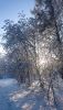 DSC_0333.thumb.JPG.ba3b437cfff974c55b795ad3e8c7c0ea.JPG
