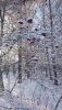 DSC_0334.thumb.JPG.c8a1dc9fe9f723362ff75192681586f0.JPG