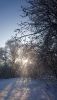 DSC_0336.thumb.JPG.5bfe60138c95bd4286ecefc3d71b2371.JPG