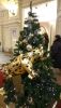 DSC_0601.thumb.JPG.c19e5d4ef3736b49a57aca12caf384fc.JPG