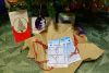 DSC_3073.thumb.JPG.e6f6967feab11c2ef24ab4eac0c3c1e5.JPG