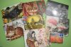 DSC_5029.thumb.JPG.a1604f947eaf6da7d296bbfe2e5dbdfd.JPG