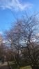DSC_6770.JPG