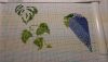 IMG-20170427-WA0001.jpeg