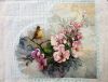 IMG-20171206-WA0001.jpg