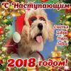IMG-20171231-WA0043.thumb.jpg.1ef1a97574158b9a9e1a46f93919d8e1.jpg