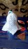 IMG_20171219_121231.thumb.jpg.39fdd1141724343ef7df6b838d2990fe.jpg