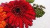 IMG_20171224_234909.thumb.jpg.ca14b141421f5d37cb4caa08f267f041.jpg