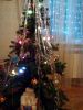 IMG_20171227_205510.jpg