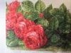 IMG_2725.thumb.JPG.feb5838df1eb2fbb0b751818e880b954.JPG?1513501723330