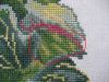 IMG_3594-2.thumb.jpg.9a4b2a98e1ce0688530922a0db5eb43e.jpg