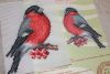IMG_6372.thumb.JPG.ffa662add2763a377bc1a69ba07bc29b.JPG