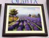 OLanTa2.thumb.jpg.30e5508c904c589fd58fc1bbc88e2b6b.jpg