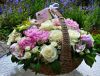 bukety-cvety-rasteniya-30086.thumb.jpg.99d3f89bf9130c01af81479b45ed5699.jpg