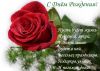 d49a6c7f4c7f0c4b330448a88a4bcb0d.thumb.jpg.8ce0e7b0ed1e66bd63705804e5643812.jpg