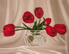 flf-037tyulpany.thumb.png.ac47091dbbc53e2027324eca65bb62b1.png