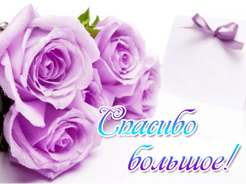 image.thumb.gif.8c90f2cee8ecdec8498d55ff289c8602.gif