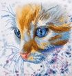 Аватар nichia
