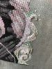 2.thumb.jpeg.83493ceddd7aed7207cf0e04eece0d5c.jpeg