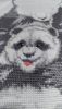 2.thumb.jpg.41eca4ffd407b490539071c70125e79d.jpg