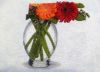 2.thumb.jpg.b852748a97bbccb344eca22b8f880495.jpg