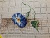 20170829_000930.thumb.jpg.22fd706370e65412646151827887003c.jpg