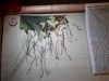 20171225_231610.thumb.jpg.5d77ff71915ab23c1a8c72516eeae36f.jpg
