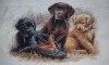 20180102_142445.thumb.jpg.2c40fa77f6deec3a3170da88efea029e.jpg?1514905255776