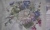 20180102_142752.thumb.jpg.954b2b1cb47062e65c8c39ba2fcf63d4.jpg?1514905798242
