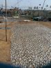 20180115_105905.thumb.jpg.4b09fc7a34d6e090069e7326e21cbb40.jpg