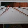 20180118_161325.thumb.jpg.af63f8677358e5d01520be9effc90aad.jpg