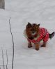 20180120_103714.thumb.jpg.7bf92a34c2cdae0cadf07935b7bbe37f.jpg
