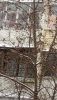 20180121_105032.thumb.jpg.45e1bac60d779ec99e006b53e5b77e68.jpg