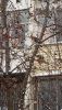20180121_105046.thumb.jpg.598801ae7680ca3691d6c46fd5e77fdd.jpg