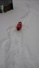 20180121_110244.thumb.jpg.8b3740bcc615244616010aefa5ead2aa.jpg