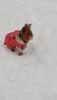 20180121_110422.thumb.jpg.51b6cfcce7c2b3a2a7b481618f4cfa87.jpg