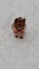 20180121_110442.thumb.jpg.a02d55ce186a33b11959bb5ed33a6abb.jpg