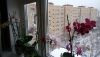 20180121_143036.thumb.jpg.e1eeebdf7a5a850099d6cabdb50d7fa7.jpg